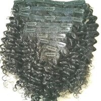 Natural Curly Clip In Hair Extensions