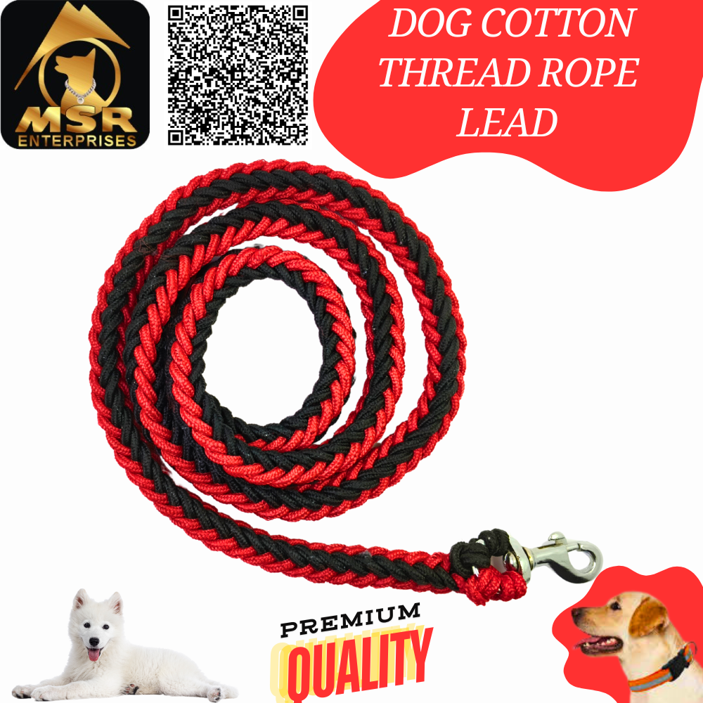 Dog Leash & Thread Lead