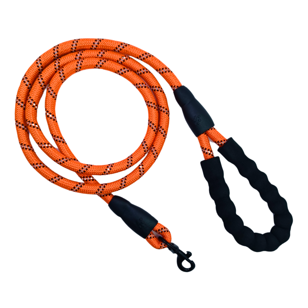 Dog Leash & Reflective Rope
