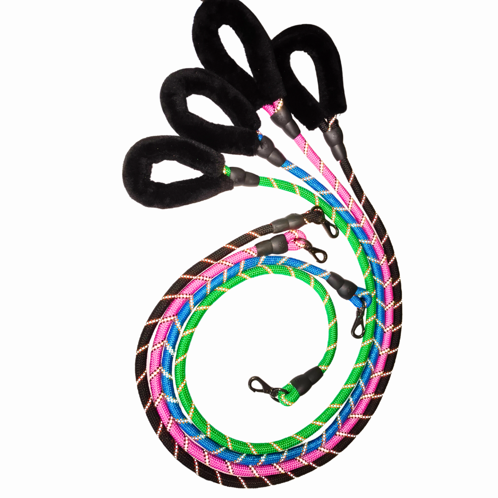 Dog Leash & Rope