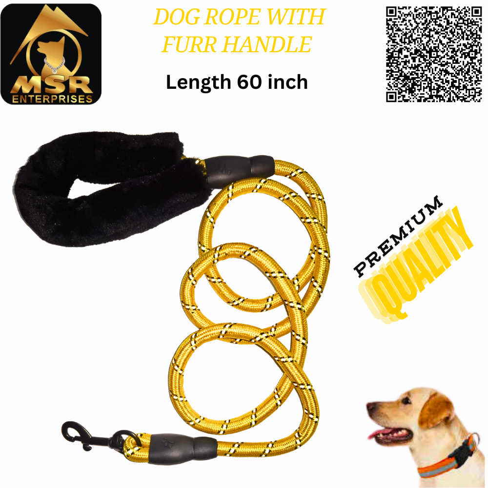 Dog Leash & Rope