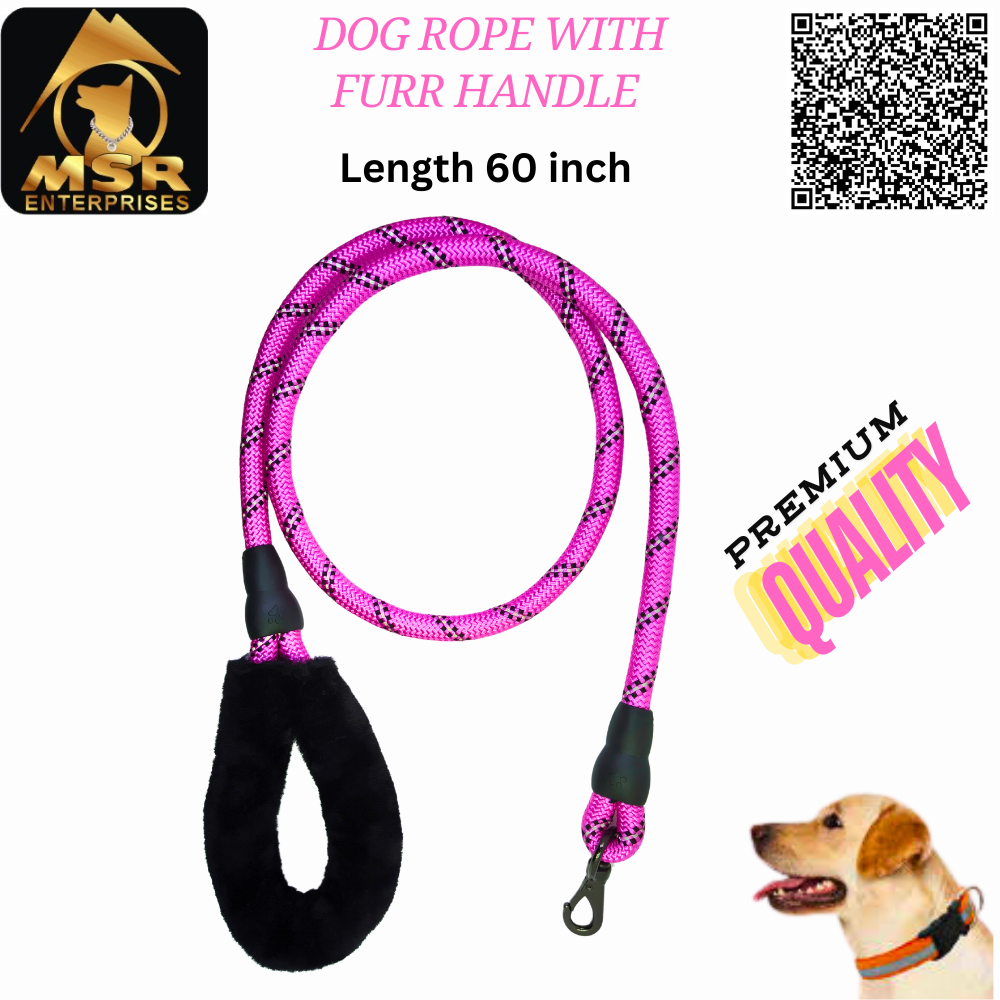 Dog Leash & Rope