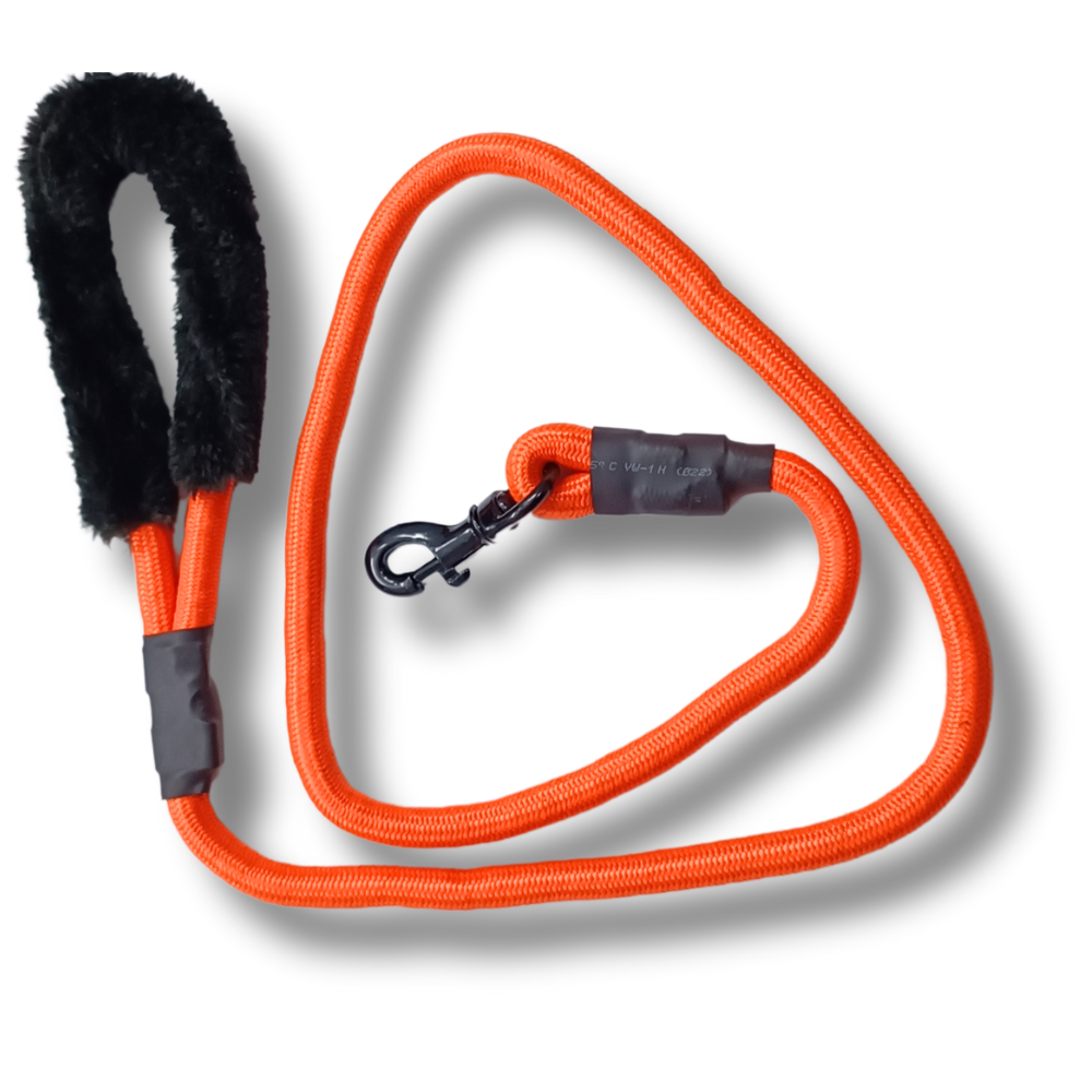 Dog Leash & Rope