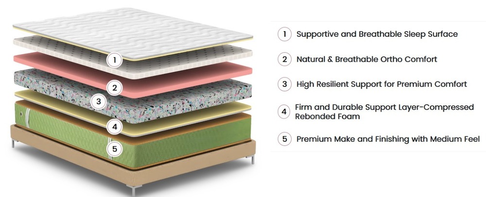 Natural Latex Foam Mattress - Spine Natura