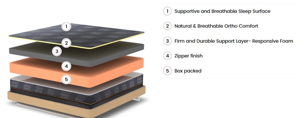 Foam Mattress - Color: As Per Requirement