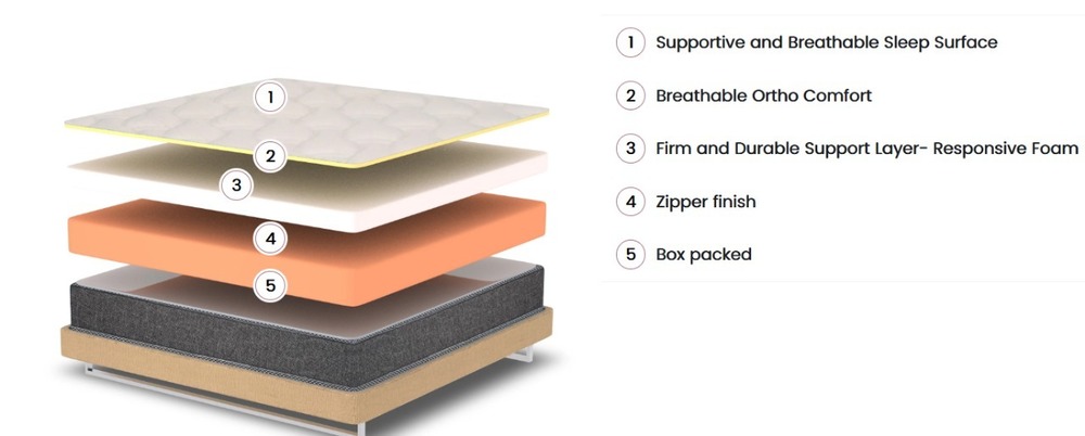 Foam Mattress - Color: As Per Requirement