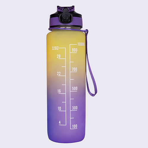 Ne-21-1 Motivational Quotes Sports Water Bottle - Color: As Per Requirement