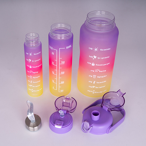 NE-22-1 Motivational Quotes Bottle Set Of 3 Pcs