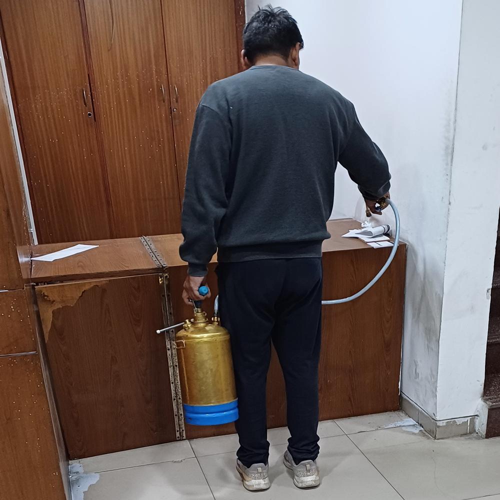 Post-Construction Termite Control