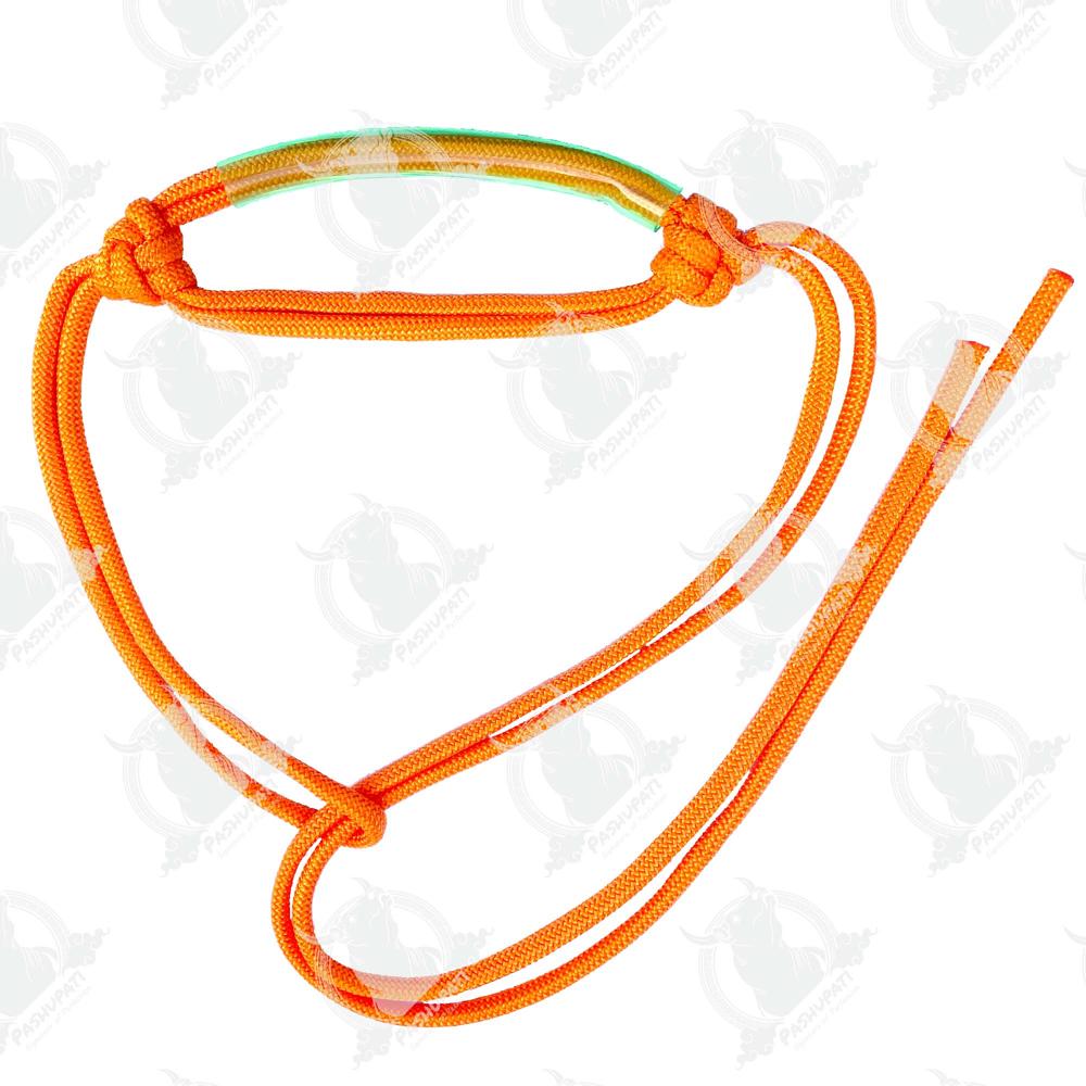 12 Mm Pipe Morkhi - Characteristics: Eco-friendly