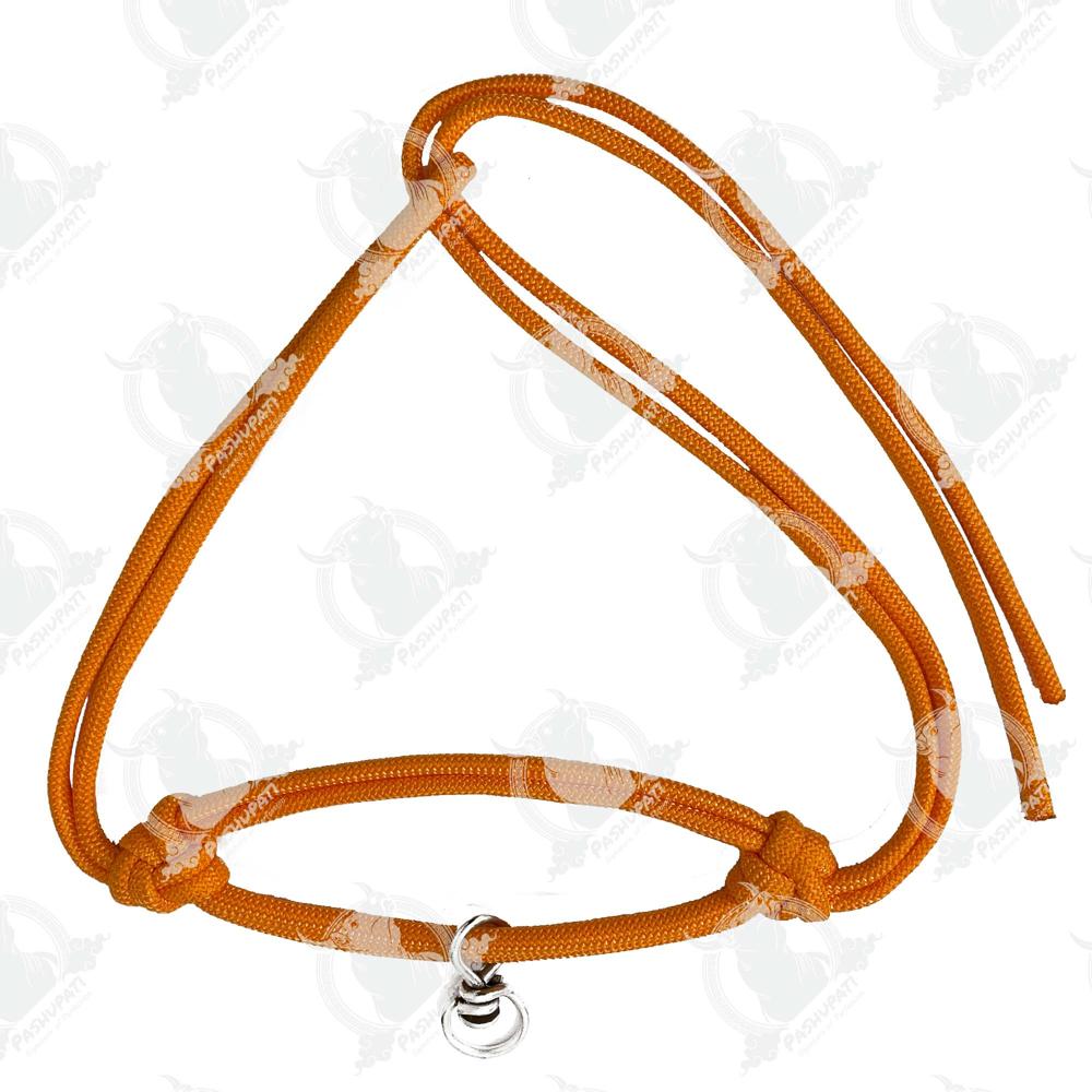 06 Mm Bhorkadi Morkhi - Characteristics: Eco-friendly