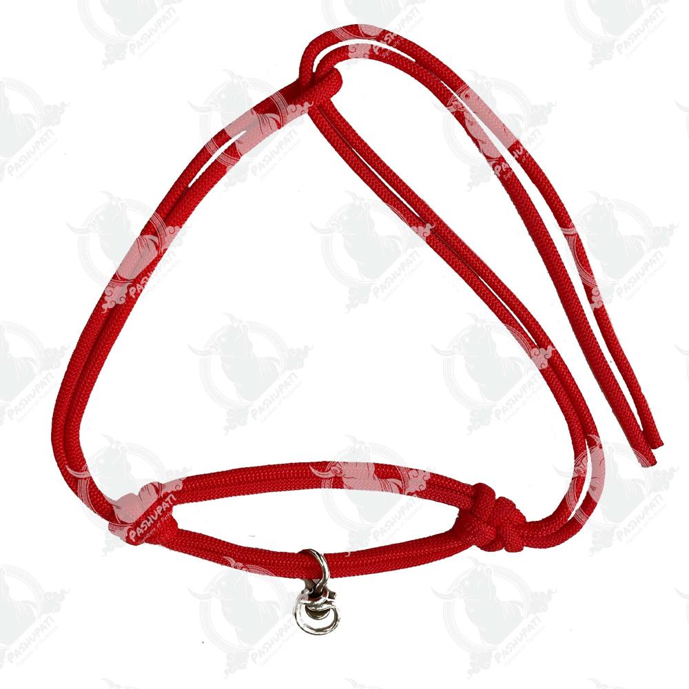 06 Mm Bhorkadi Morkhi - Characteristics: Eco-friendly