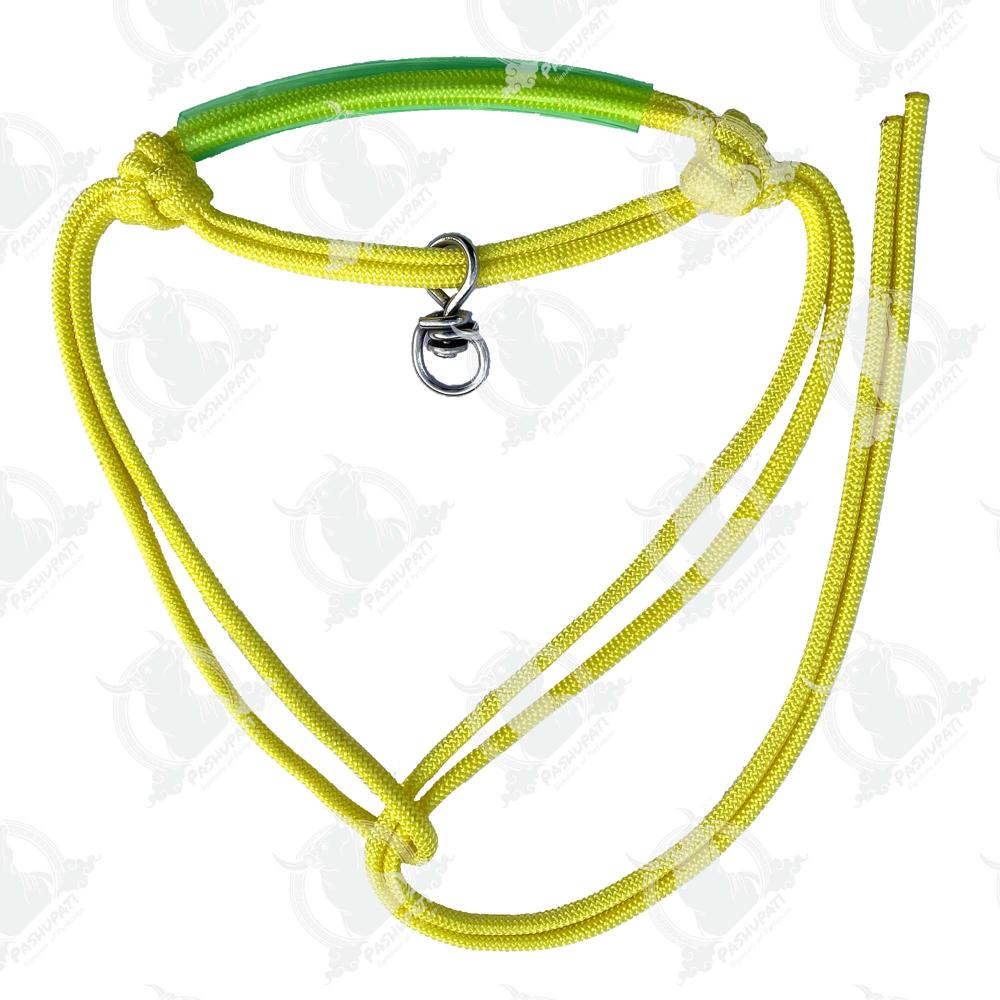 06 Mm Bhorkadi Pipe Morkhi - Characteristics: Shinny