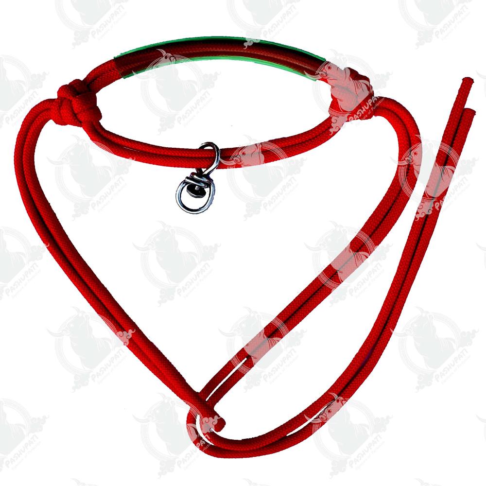 06 Mm Bhorkadi Pipe Morkhi - Characteristics: Shinny