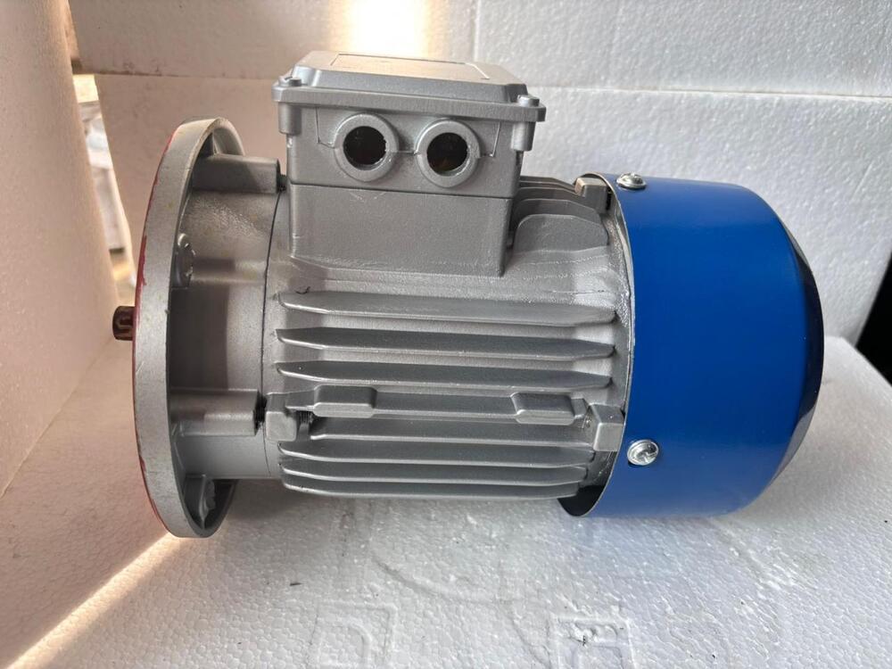 Electric Motors - Ambient Temperature: 10 Fahrenheit (Of)
