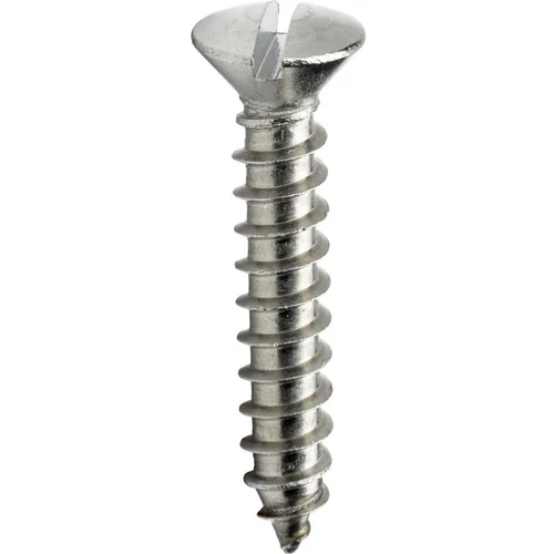 Slotted Head Screw - Color: Silver