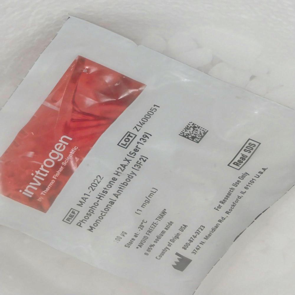 Phospho Histone H2a.x(ser139) Monoclonal Antibody(3f2) Packaging Type: Bottle 1 Ml - Packaging Type: Bottle