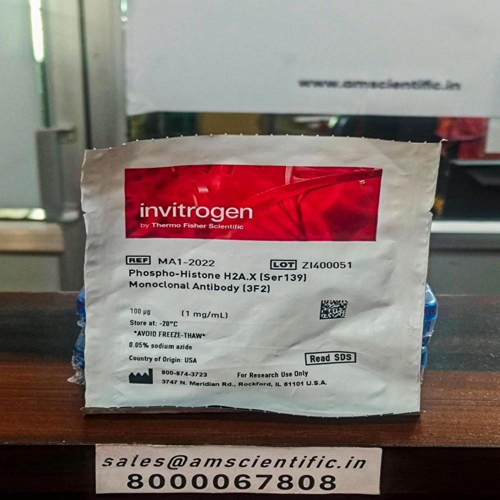 Phospho Histone H2a.x(ser139) Monoclonal Antibody(3f2) Packaging Type: Bottle 1 Ml - Packaging Type: Bottle