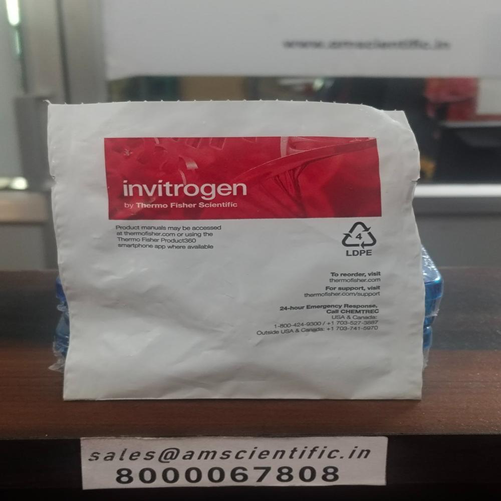 Phospho Histone H2a.x(ser139) Monoclonal Antibody(3f2) Packaging Type: Bottle 1 Ml - Packaging Type: Bottle