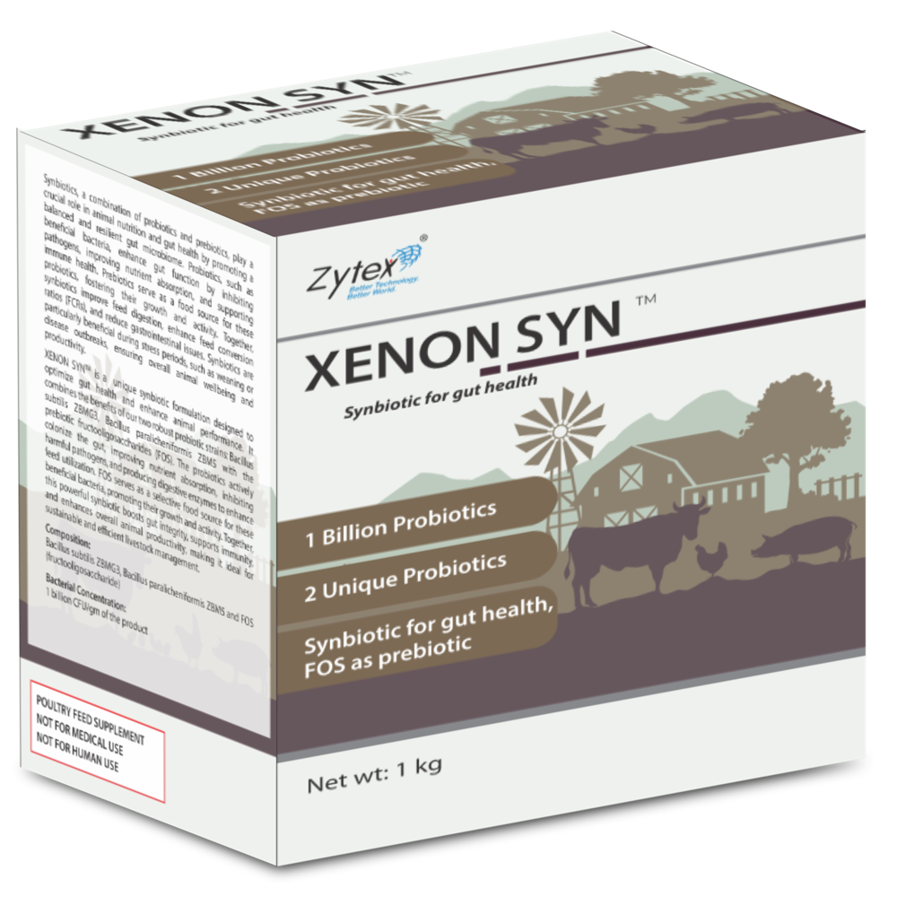 Xenon SYN