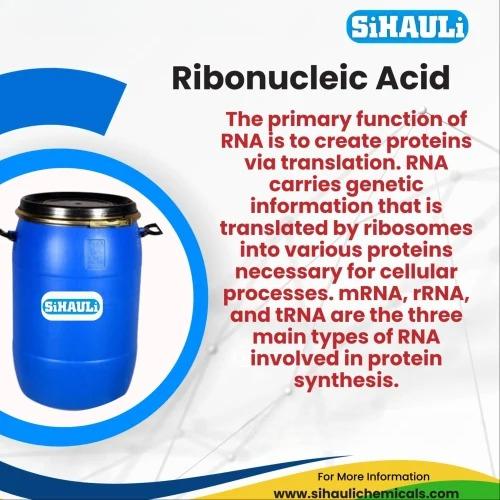 Ribonucleic Acid (RNA) Manufacturers, Suppliers, Exporters From Vasai