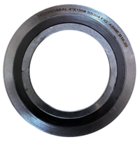 Graphite Filler Spiral Round Gasket