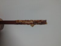 Enamel Stripper