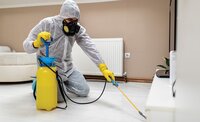 Mosquito Control सेवाएं