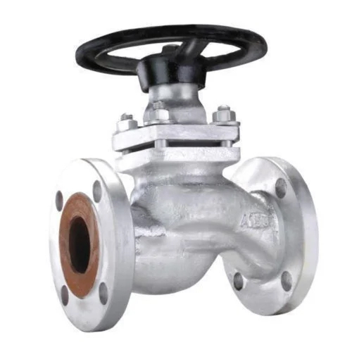 Stainless Steel Globe Valves - Color: Silver