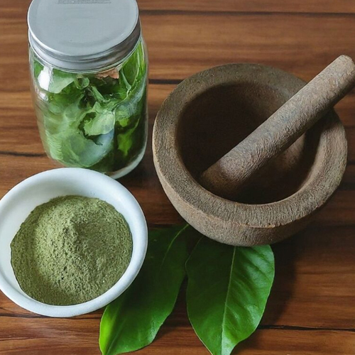 Fermented Gurmar Gymnema Sylvestre Leaves