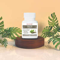 Giloy Tablets - Age Group: For Adults