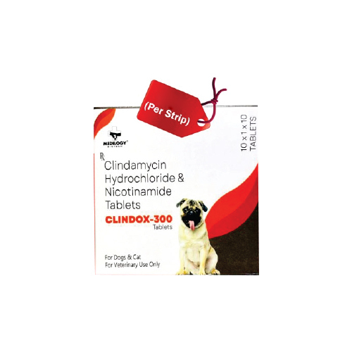 Clindox-300 Tablets