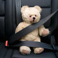 Seat Belt Fabric