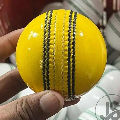 Cricket International Hard Ball