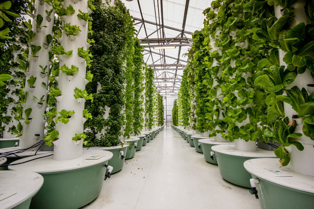 Aeroponics System