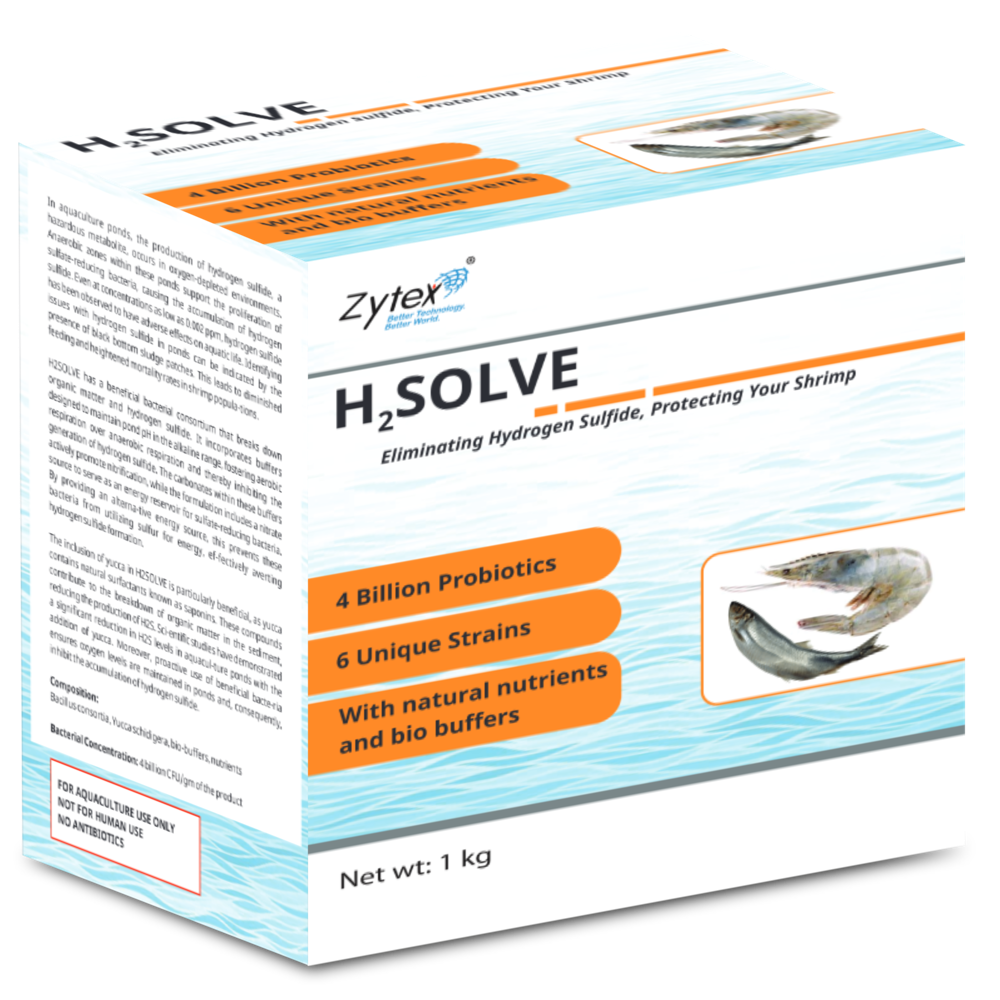H2 Solve