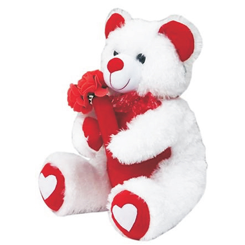 White Teddy Soft Toys - Color: Different Available