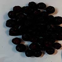 Freeze Dried Blueberry