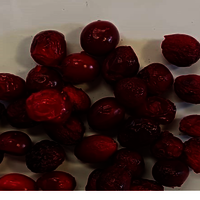Freeze Dried Cranberry