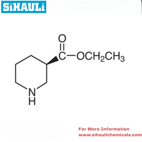 R Ethyl Nipecotate