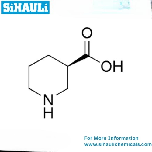 R- Nipecotic Acid