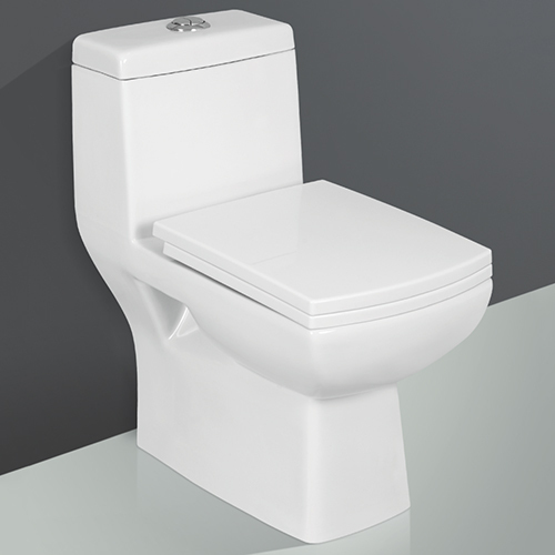 Codie-5005 One Piece Western Toilet - Color: White