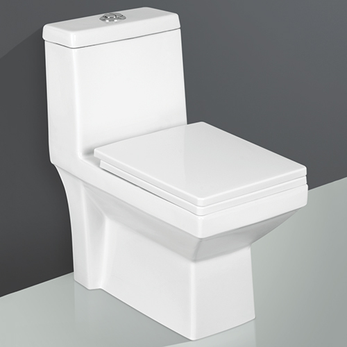 Europaa-5006 One Piece Western Toilet