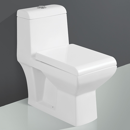 Layer-5007 One Piece Western Toilet