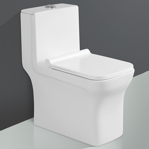 Accolade-5008 One Piece Western Toilet - Color: White