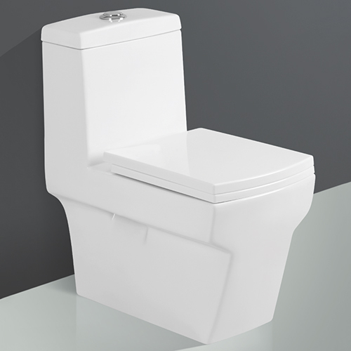 Reve-5012 One Piece Western Toilet