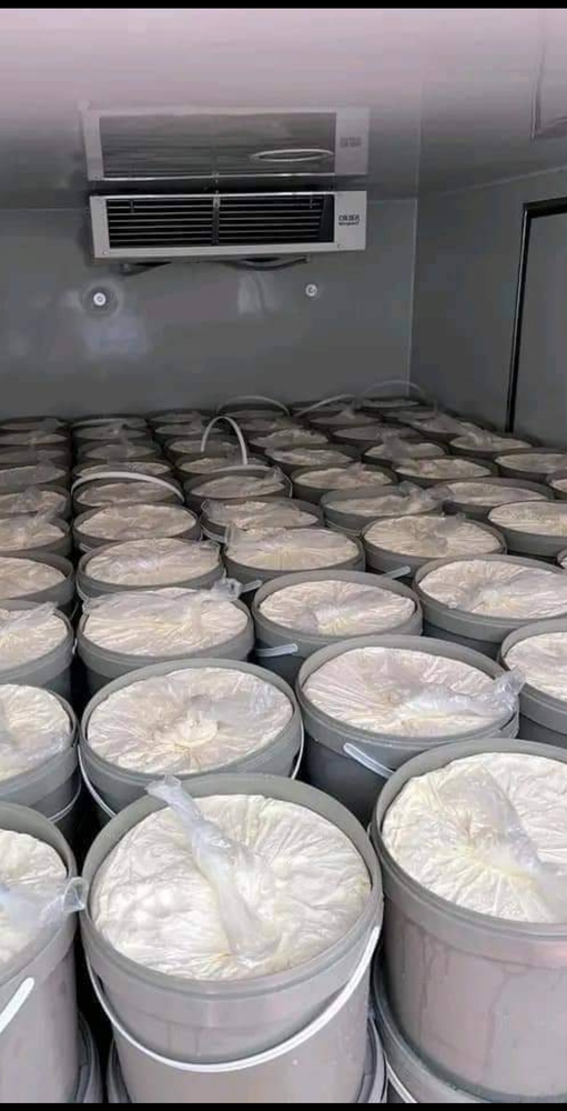 Food Grade Bags - Coating Type: Ld