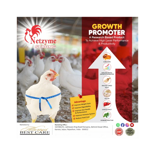 Poultry Broiler Growth Promoter - Powdered Nutrition Feed | Vitamins-Based, 24 Months Shelf Life, Dosage as per Suggestion, Feed Grade Quality