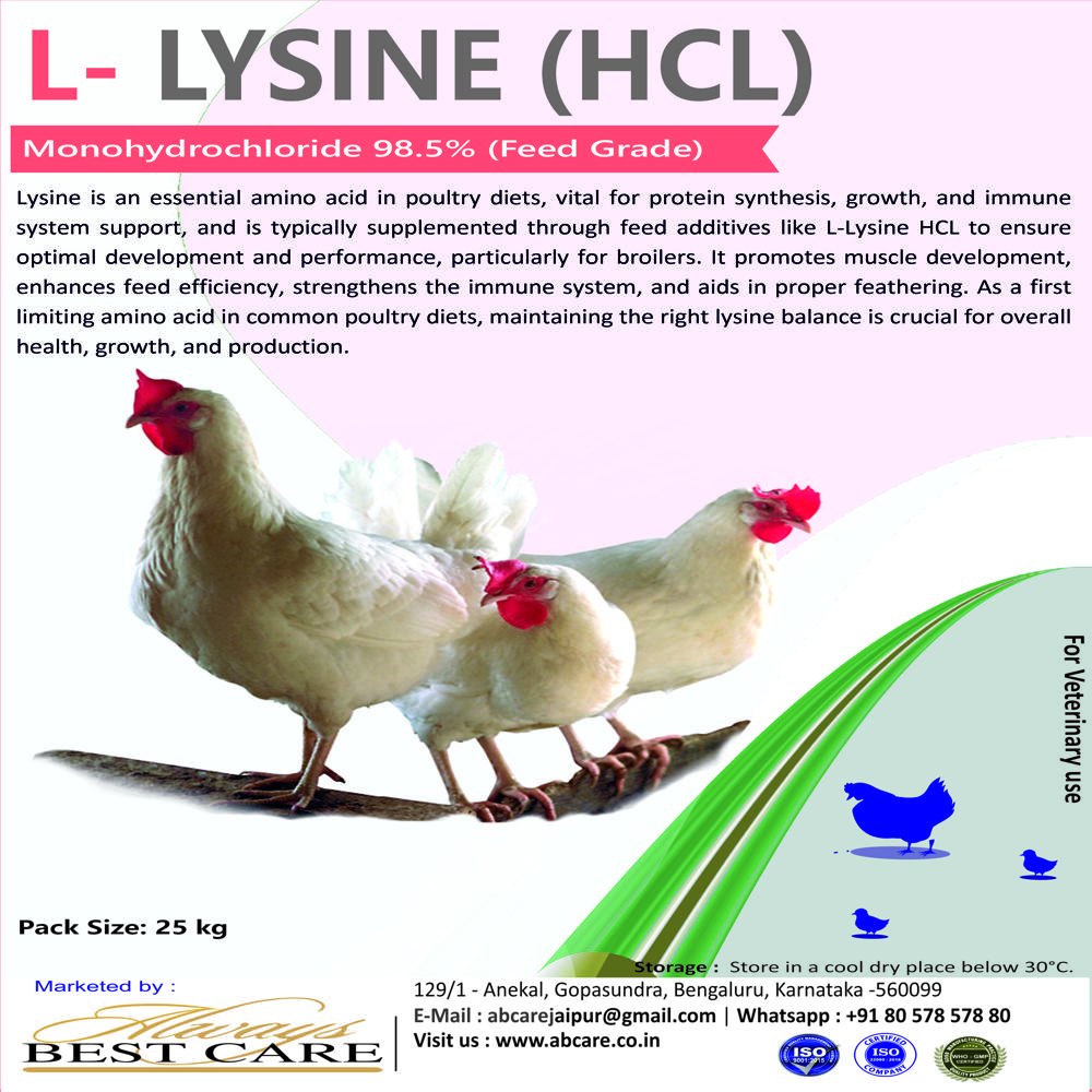 25Kg Feed Grade L Lysine Hydrochloride - Color: White / Pale Brownish