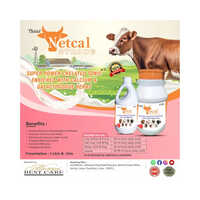 Dairy Cattle Feed Supplement NATCAL-STRONG